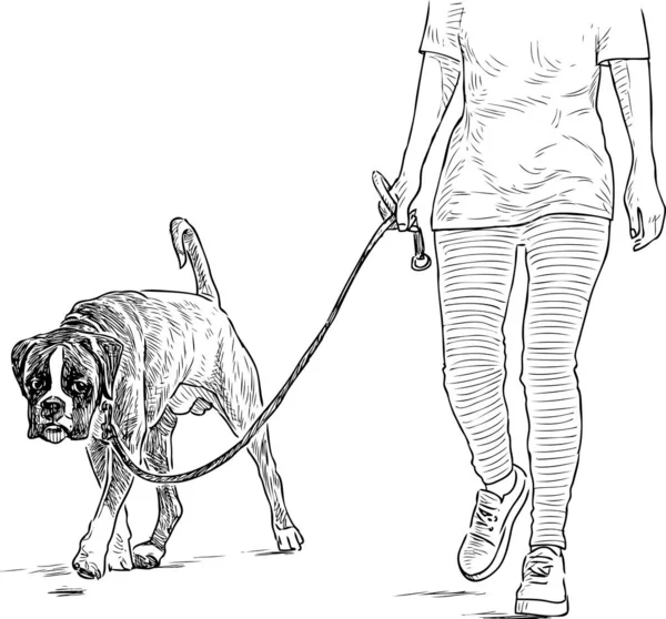 Sketch Bulldog His Owner Walking Stroll — Stock Vector