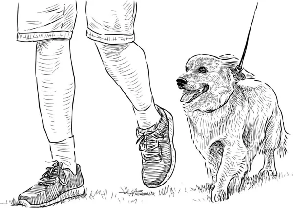 Freehand Drawing Longhair Dachshund Her Owner Going Walk — Stok Vektör