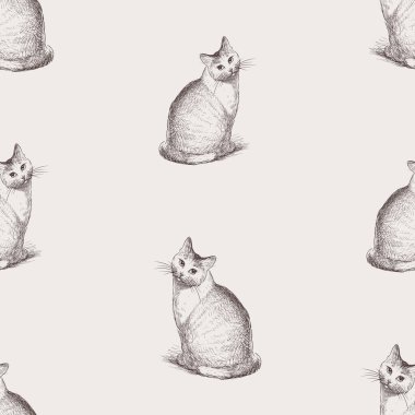 Oturan ev kedilerinin kusursuz çizimleri.