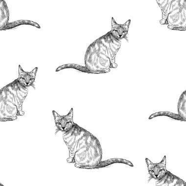 Çizimlerin kusursuz deseni. Küçük kedi yavruları oturuyor ve bakıyor.