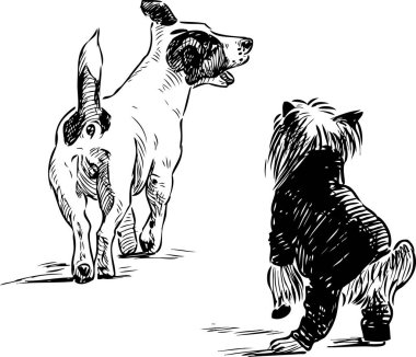 Teriyer ve sokak köpeğinin serbest çizimi.