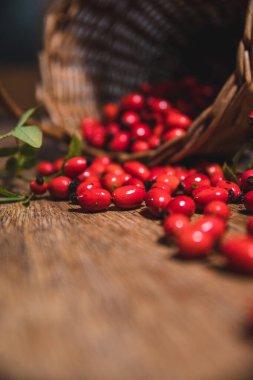 Sepette koyu kırmızı gül kalçası