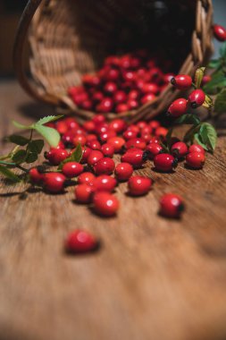 Sepette koyu kırmızı gül kalçası