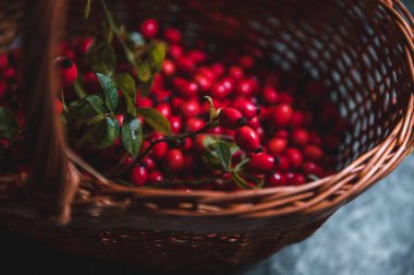 Sepette koyu kırmızı gül kalçası