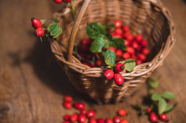 Sepette koyu kırmızı gül kalçası
