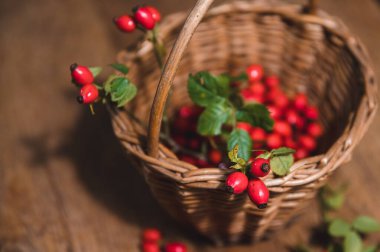Sepette koyu kırmızı gül kalçası