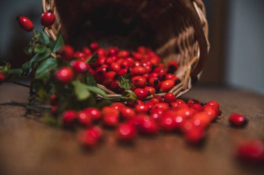 Sepette koyu kırmızı gül kalçası