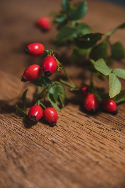 stock image Dark red rose hip on basket