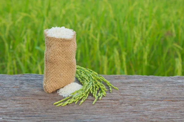 Jasmine rice — Stock Photo, Image