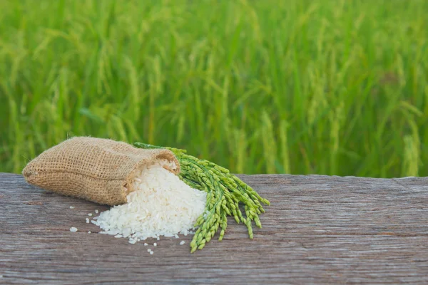 Jasmine rice — Stock Photo, Image