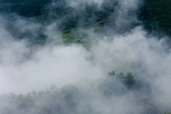 Medellin Kolombiya 'nın dışındaki sisli dağ.