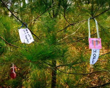 A pine tree on the side of a trail in the woods is decorated with hopeful messages that read - We are all together - Hope - We love essential workers - Hope springs eternal. Some of the decorations are made of wood, others are crafted from tiny cloth clipart