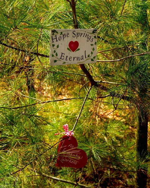 A pine tree on the side of a trail in the woods is decorated with hopeful messages that read - We are all together - Hope - We love essential workers - Hope springs eternal. Some of the decorations are made of wood, others are crafted from tiny cloth