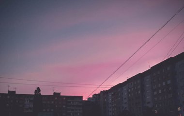 Duvar kağıdı için yazdır. Fantezi tasarımı. Modern sanat. Ormanda sis var. Renkli mistik arka plan. Büyülü orman. Sihirli Sanatsal Duvar.