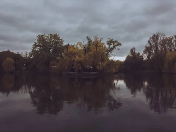 Teplý Les Dešti — Stock fotografie