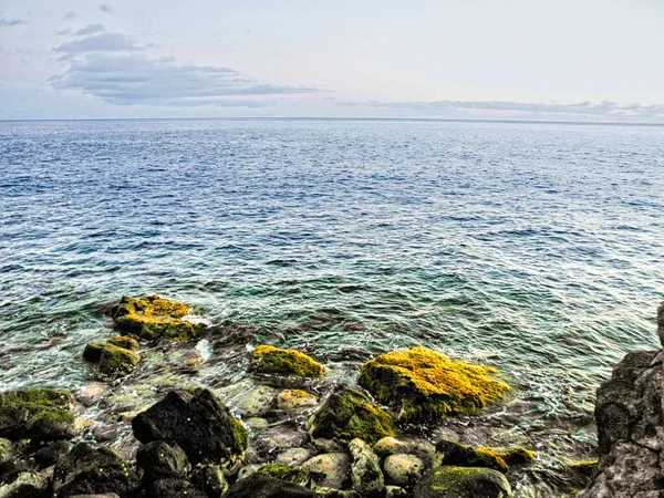 Mossen Een Rots Oceaan Rotsachtige Kust Van Canarische Eilanden — Stockfoto