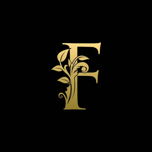 Luxus Arany Betű Classy Floral Logo — Stock Vector