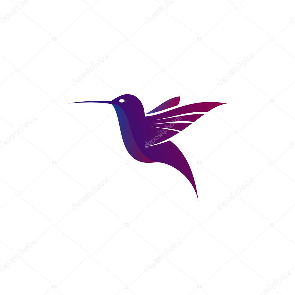 Beautiful Humming Bird Logo Icon