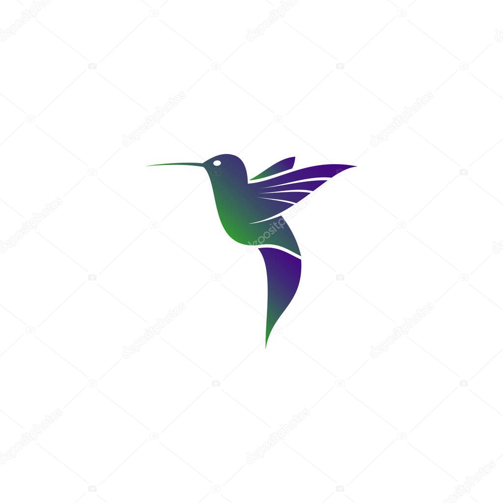 Beautiful Humming Bird Logo Icon