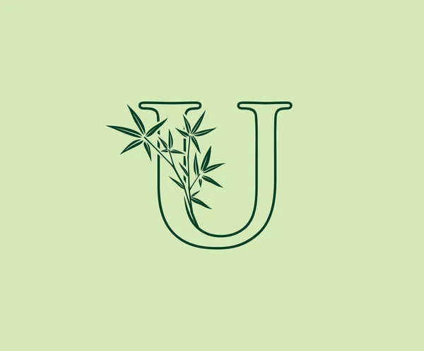 绿色竹线U字标设计 — 图库矢量图片