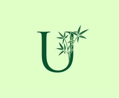 Yeşil Bambu U Letter Logo Tasarımı