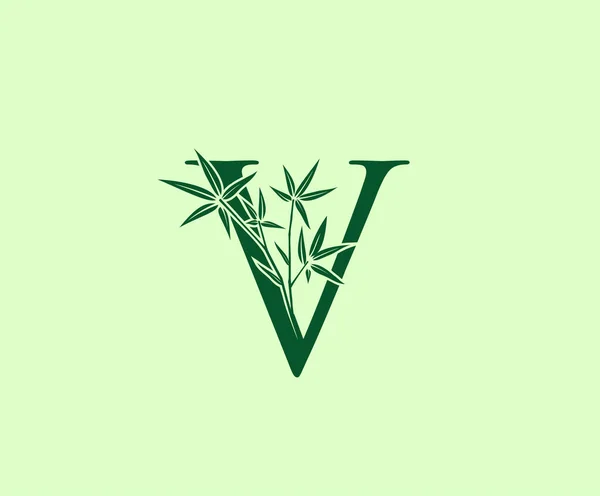 Logo Verde Bambù Lettera Design — Vettoriale Stock