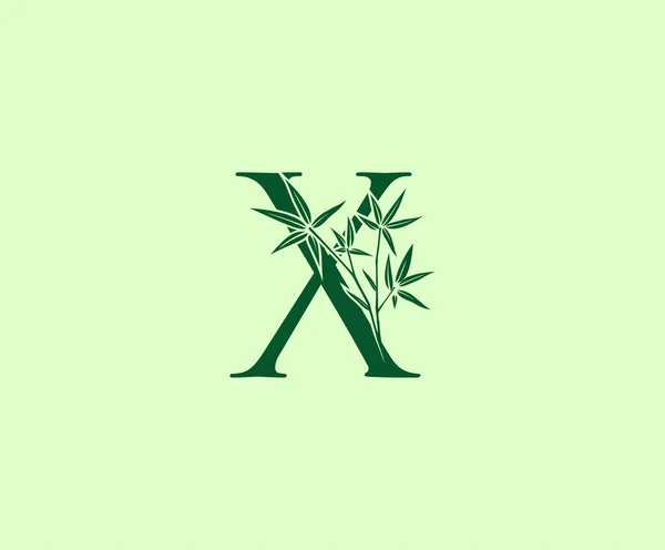 Grüner Bambus Buchstabe Logo Design — Stockvektor
