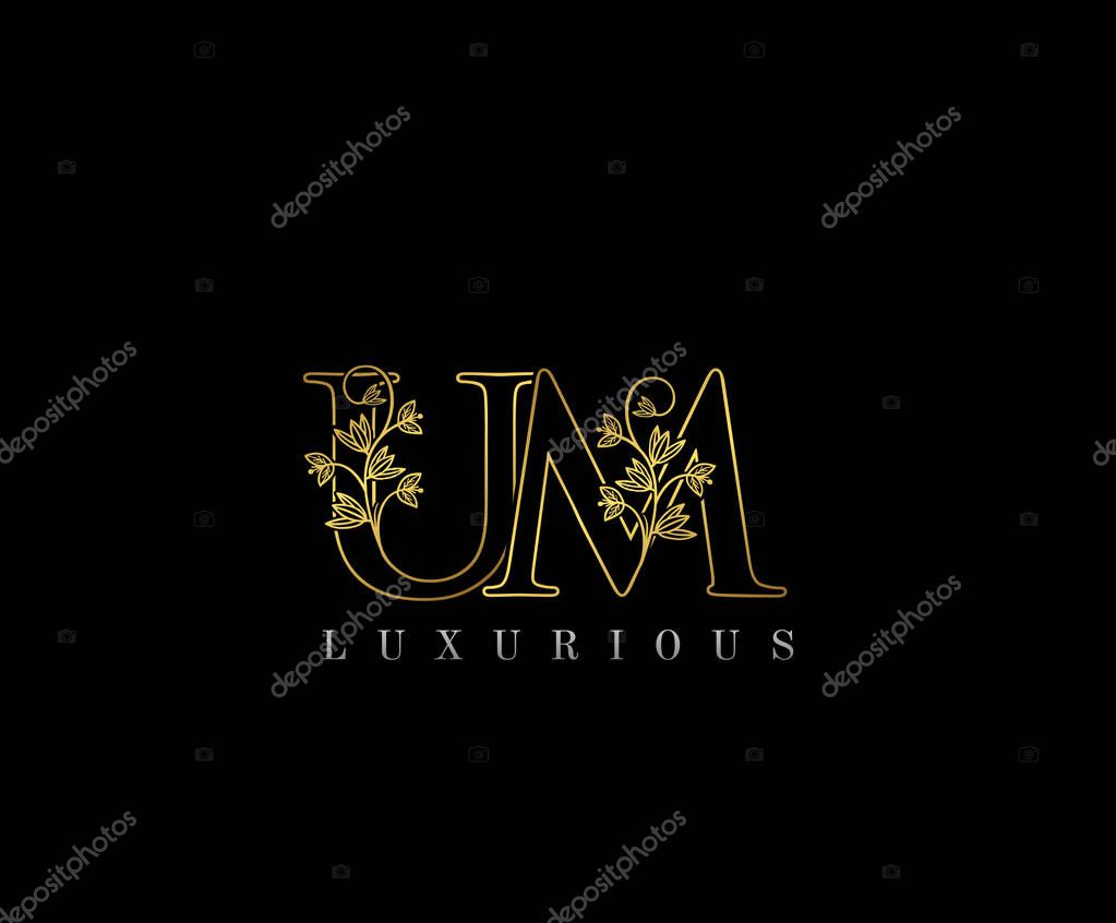 Golden UM Logo. Luxury UM Letter Flourishes Design Vector