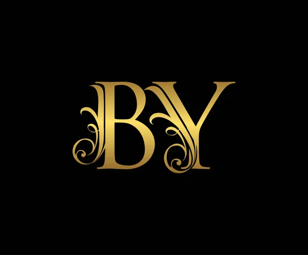 金字标志图标 初始B和Y设计矢量豪华黄金色 打印首字母缩写邮票符号符号 — 图库矢量图片
