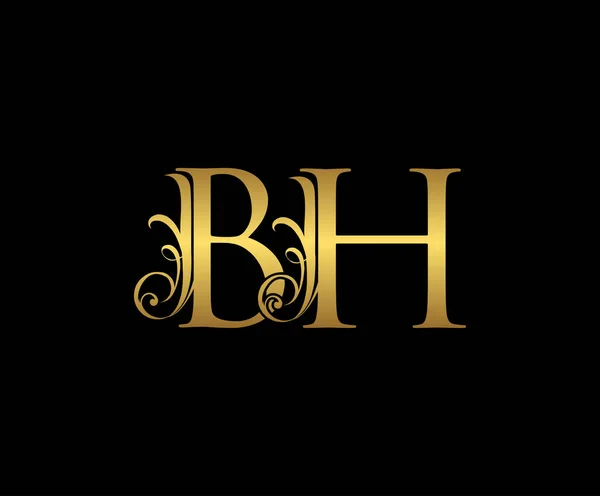 Altın Harf Logo Simgesi Baş Harfler Tasarım Vektörü Lüks Altın — Stok Vektör