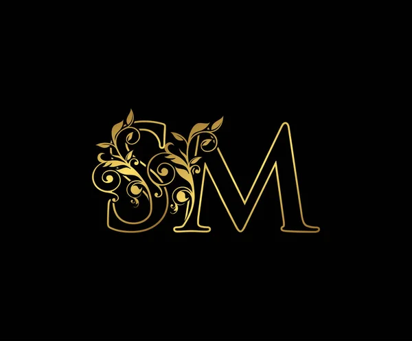 Gouden Letter Logo Icoon Initiële Letter Design Vector Luxe Goud — Stockvector