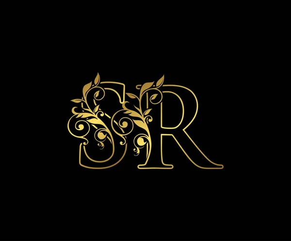 Икона Золотое Письмо Logo Первоначальная Буква Дизайн Вектор Роскоши Золотой — стоковый вектор