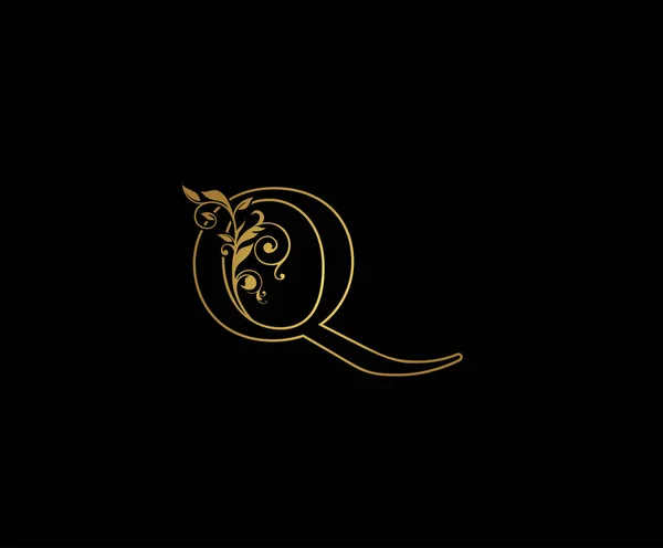 ゴールデンレターQロゴアイコン 初期の手紙Qデザインベクトル高級ゴールドカラー 印刷モノグラムイニシャルスタンプラインアートサイン — ストックベクタ