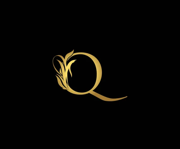 Klassieke Brief Logo Icon Eerste Letter Ontwerp Vector Luxe Goud — Stockvector