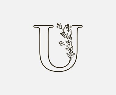 Klasik Floral Letter U logosu. Siyah Renkli ve Çiçekli U Harfi Tasarım Vektörü.