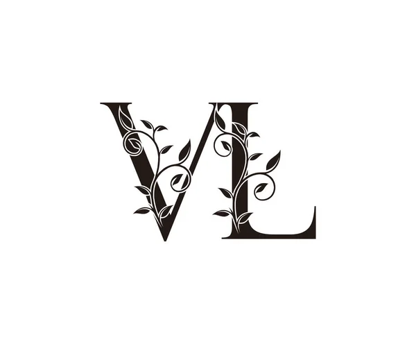 手紙Vl豪華なロゴアイコン ヴィンテージ高級ベクトルデザインコンセプト概要高級ビジネスのための花の葉の金の色を持つアルファベットの手紙 — ストックベクタ