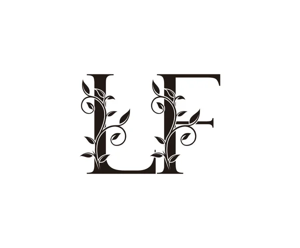 Classy Floral Letter Logo Vintage Design Vectoriel Luxe Lettre Contour — Image vectorielle