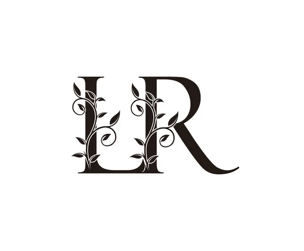 Classy Floral Letter Logo Vintage Luxus Vektor Design Konzept Umreißen — Stockvektor