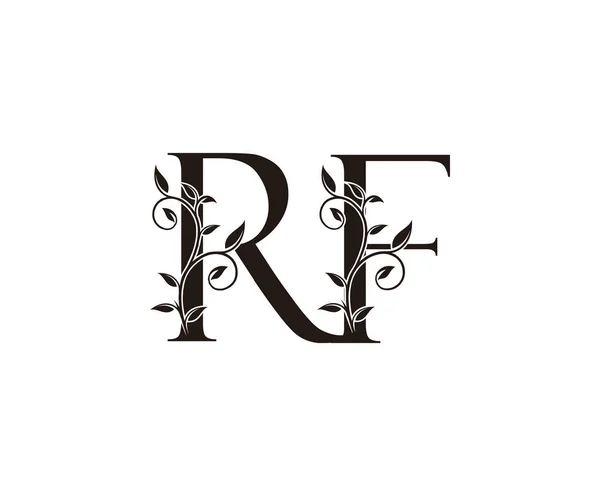 Κλασάτο Floral Letter Logo Vintage Luxury Vector Design Concept Περίγραμμα — Διανυσματικό Αρχείο