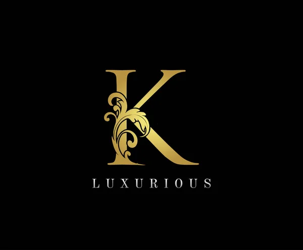 Arany Luxus Első Betű Logó Ikon Vector Design Koncepció Luxus — Stock Vector