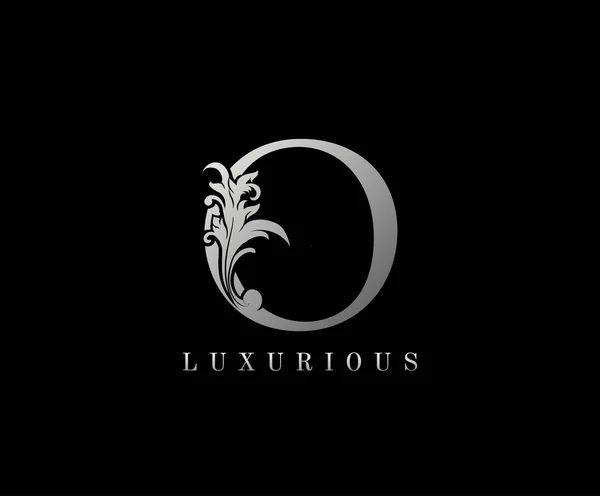 Silver Luxury Logo Icon Classy Letter Logo Design — 스톡 벡터