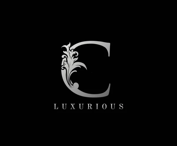 Ícone Logotipo Luxo Prata Design Logotipo Carta Elegante — Vetor de Stock
