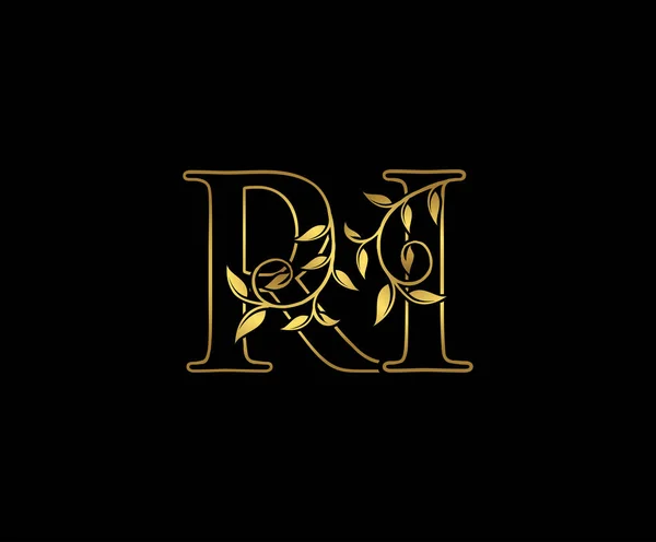 首字母R和I 金色标志图标 漂亮的金字图标适合精品店 婚介服务 酒店或商务身份 — 图库矢量图片