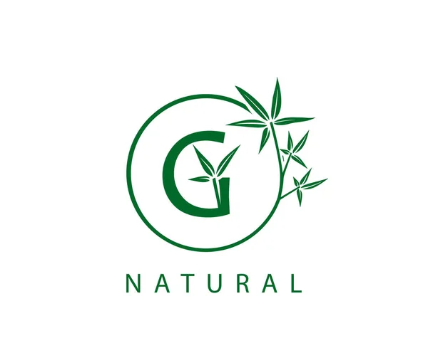 Logo Lettre Feuille Verte Initial Avec Cercle Vert Bambou — Image vectorielle