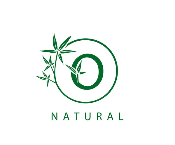 Green Leaf Letter Logo Anfangs Mit Kreis Grünem Bambus — Stockvektor