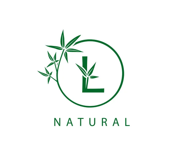 Green Leaf Letter Logo 대나무를 — 스톡 벡터