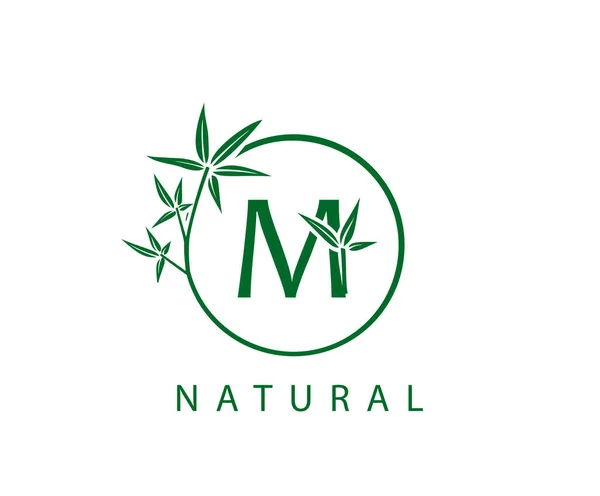 Folha Verde Logotipo Carta Inicial Com Círculo Bambu Verde — Vetor de Stock