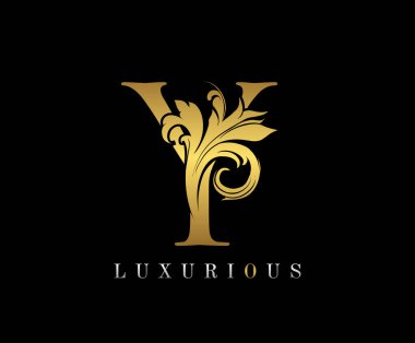 Altın Zarif Y harfi. Zarif kraliyet tarzı. Güzel kaligrafik logo. Kitap tasarımı için klasik amblem, yabani otlar, marka adı, kartvizit, restoran, butik, otel.