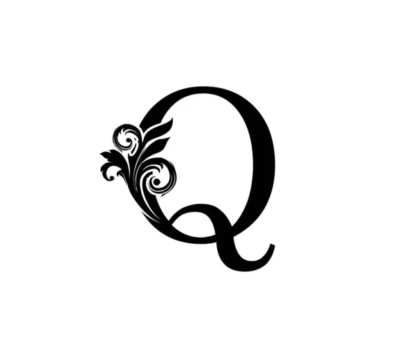 ヴィンテージレターQロゴ 黒と花の手描きのQレターデザインベクトル — ストックベクタ
