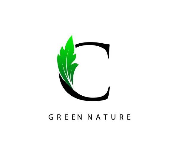 自然C字母绿叶标志设计 — 图库矢量图片